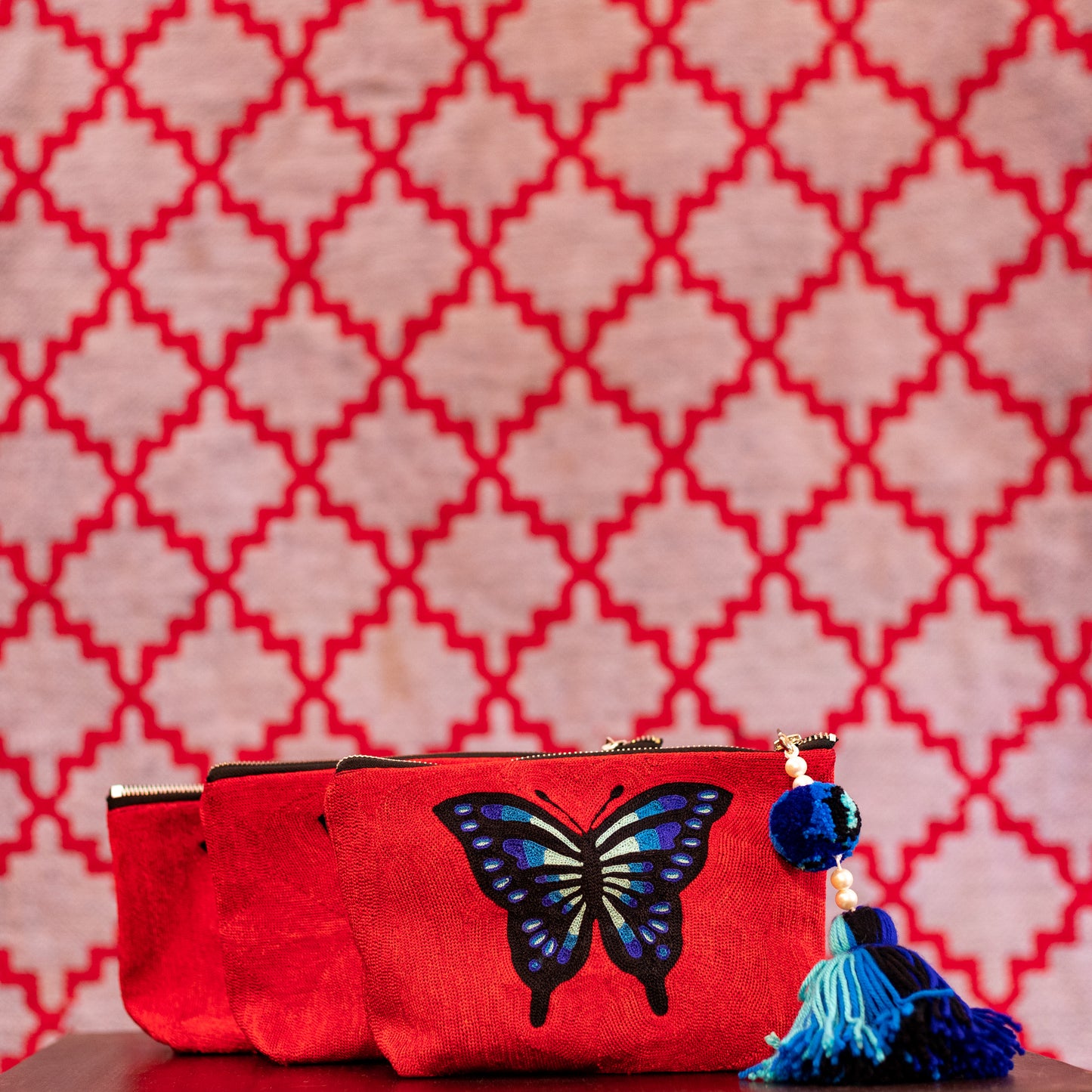 Butterfly Charm Embroidered Zip Bag